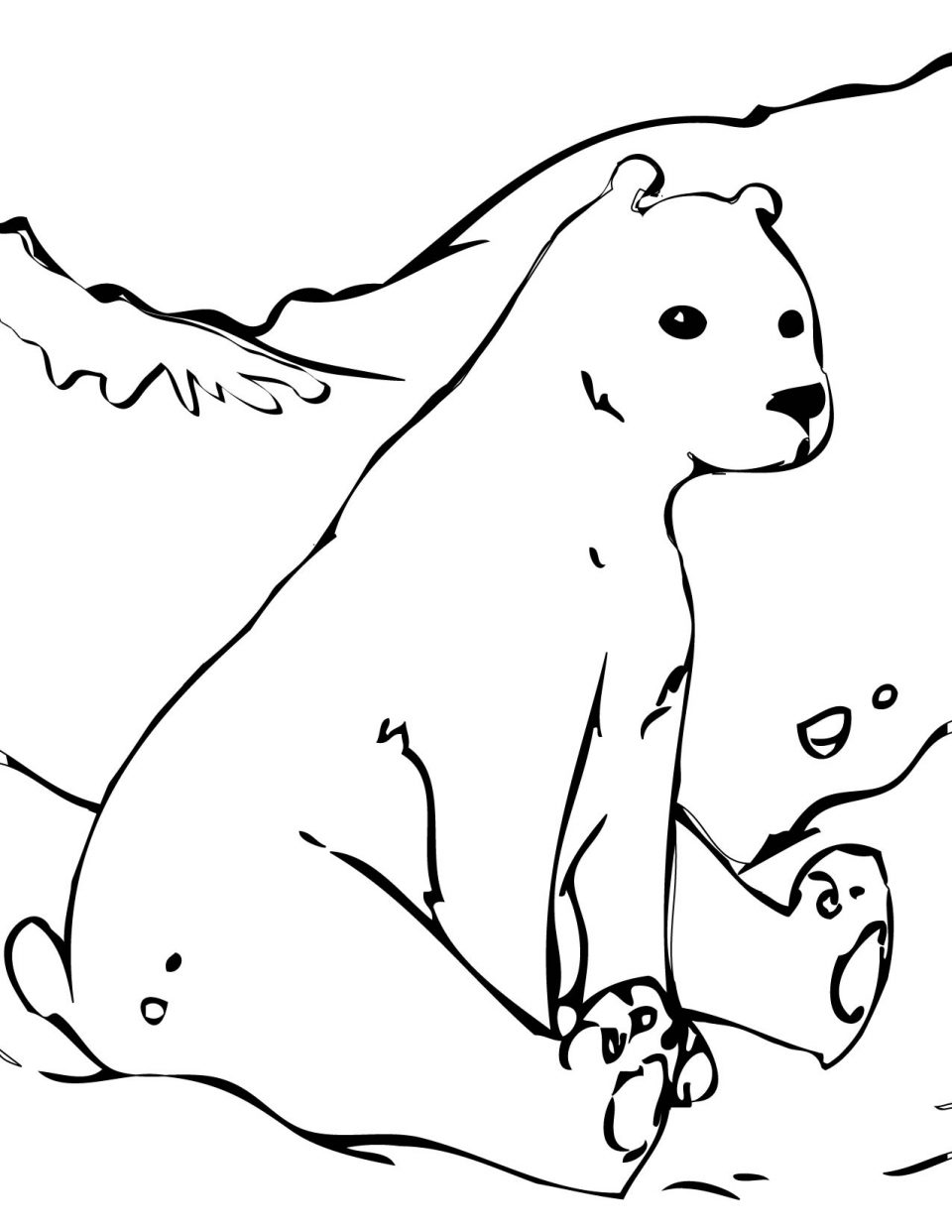 polar animals coloring pages