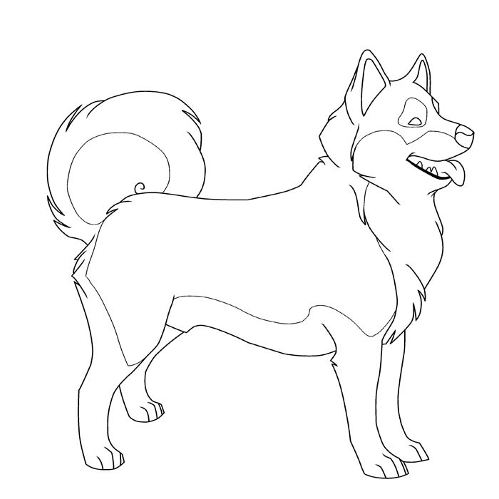 siberian husky coloring page