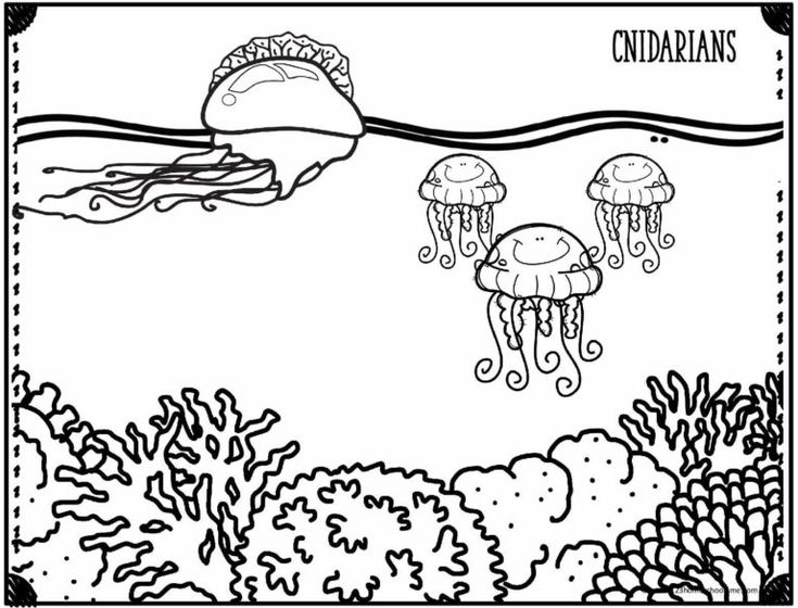 ocean coloring pages pdf