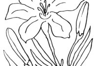 easter lily coloring page