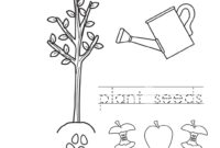 seeds coloring page