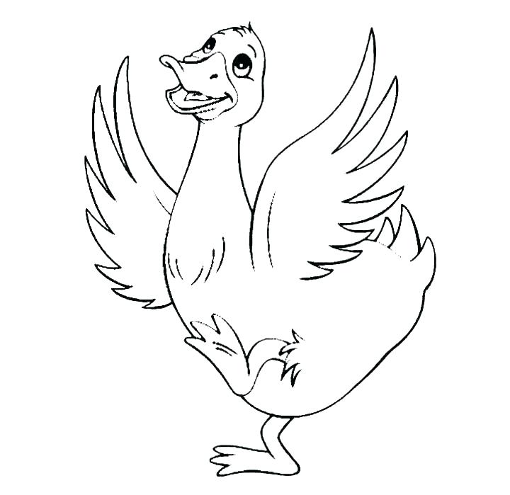 realistic duck coloring pages