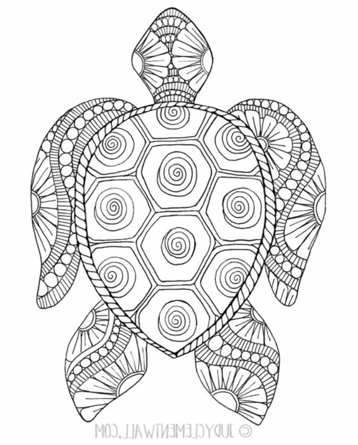 ausmalbilder schildkröte mandala