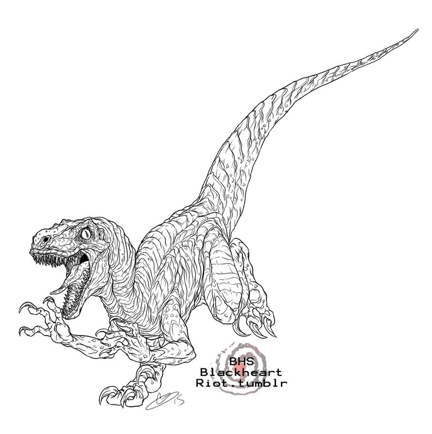 blue the raptor coloring pages