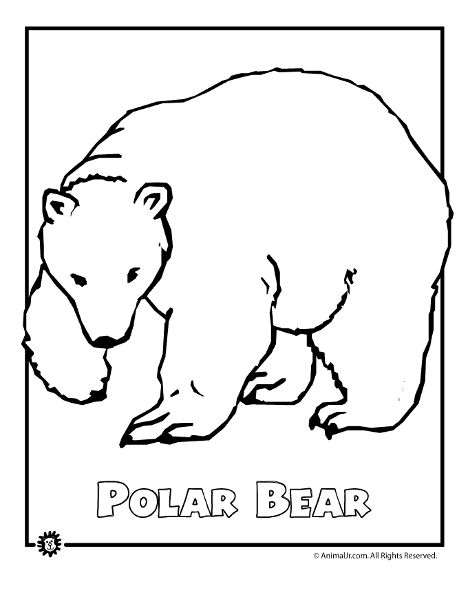 arctic animals coloring pages free