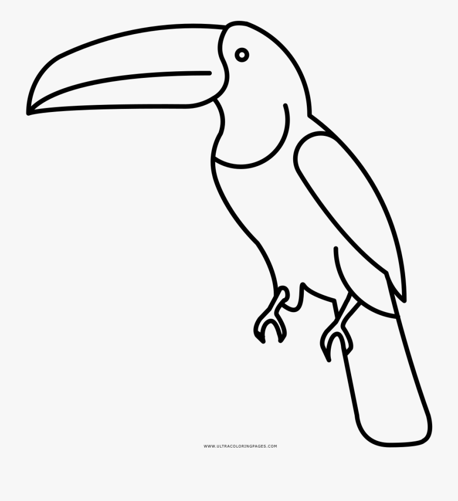 tucan coloring page