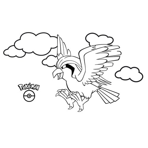 pidgeot coloring page