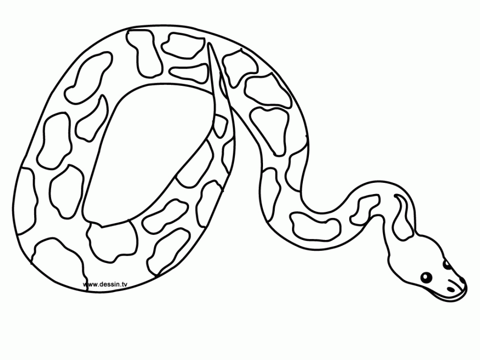 coloring pages snakes