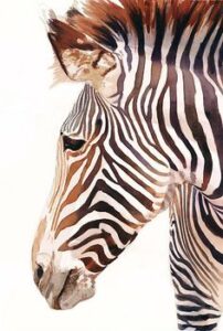 zebra malen