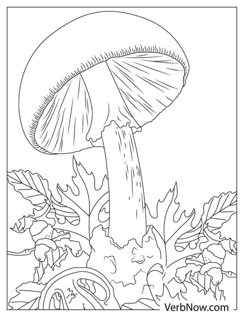 realistic mushroom coloring pages