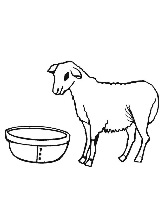 Free Printable Sheep Coloring Pages For Kids