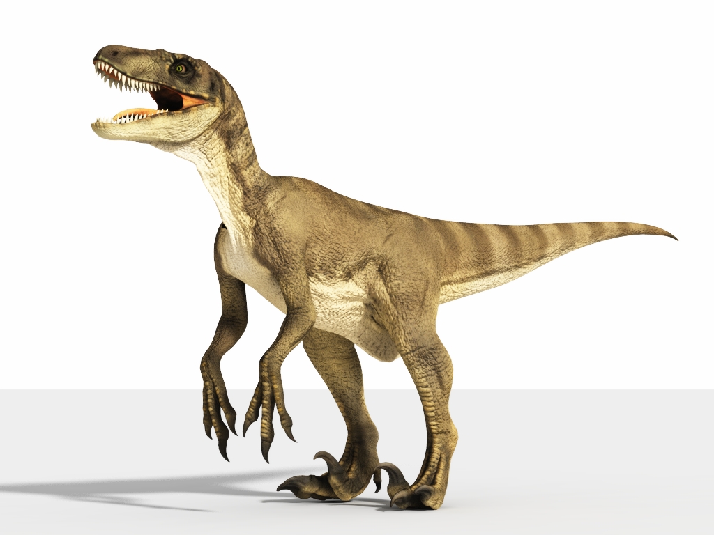 velociraptor bilder