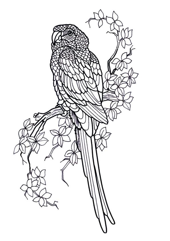 coloriage mandala oiseau