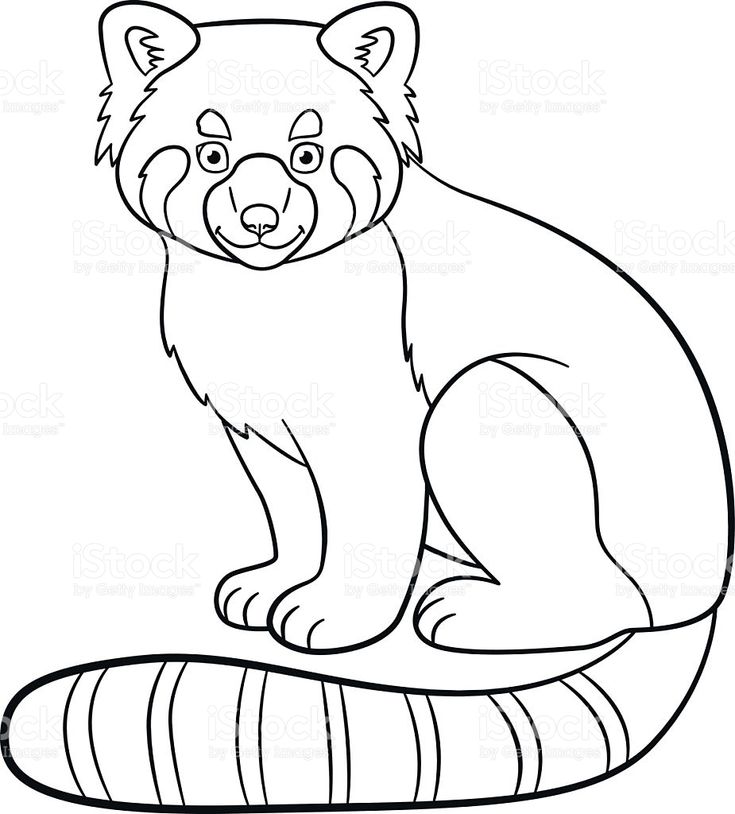 cute red panda coloring page