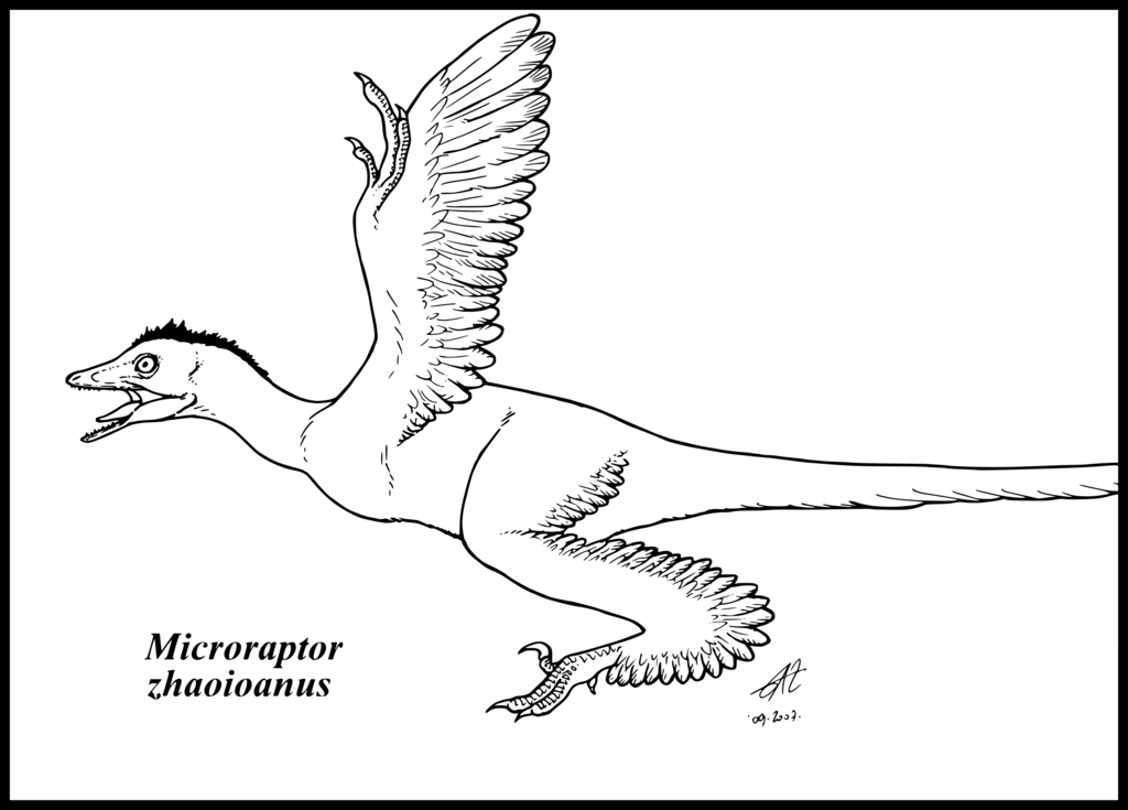 utahraptor coloring page