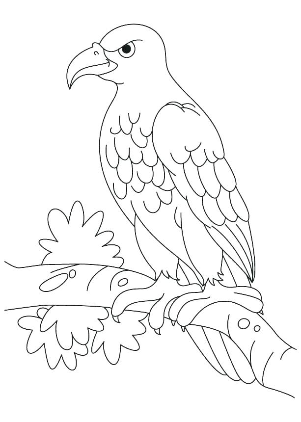 mexican eagle coloring page