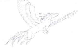 pegasus zeichnen