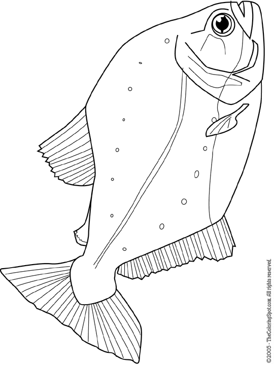 piranha coloring pages