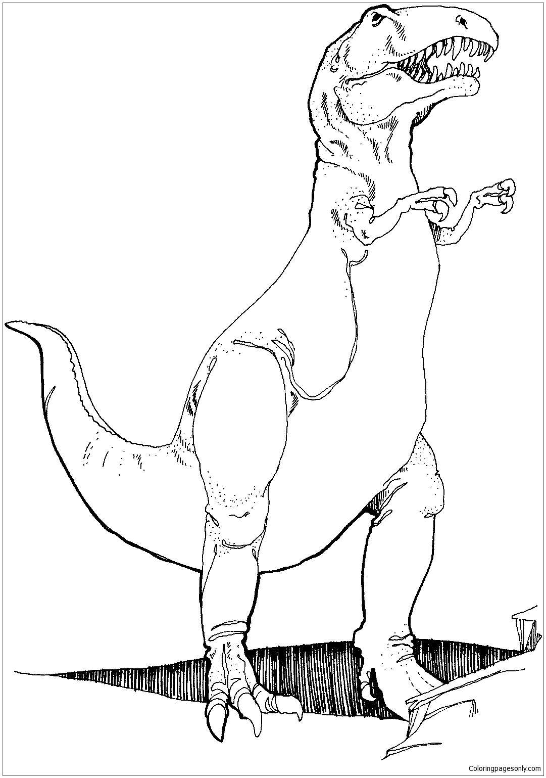 T Rex Coloring Page