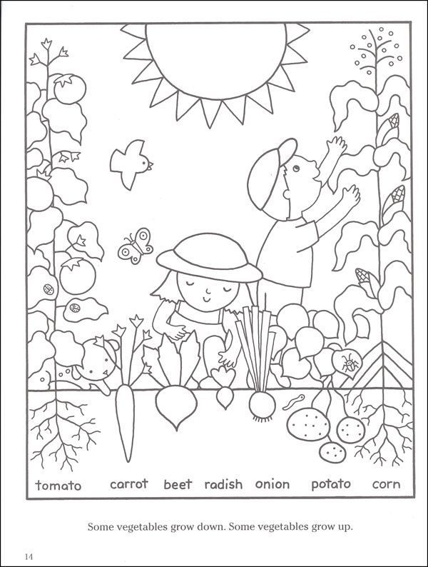 vegetable garden coloring page