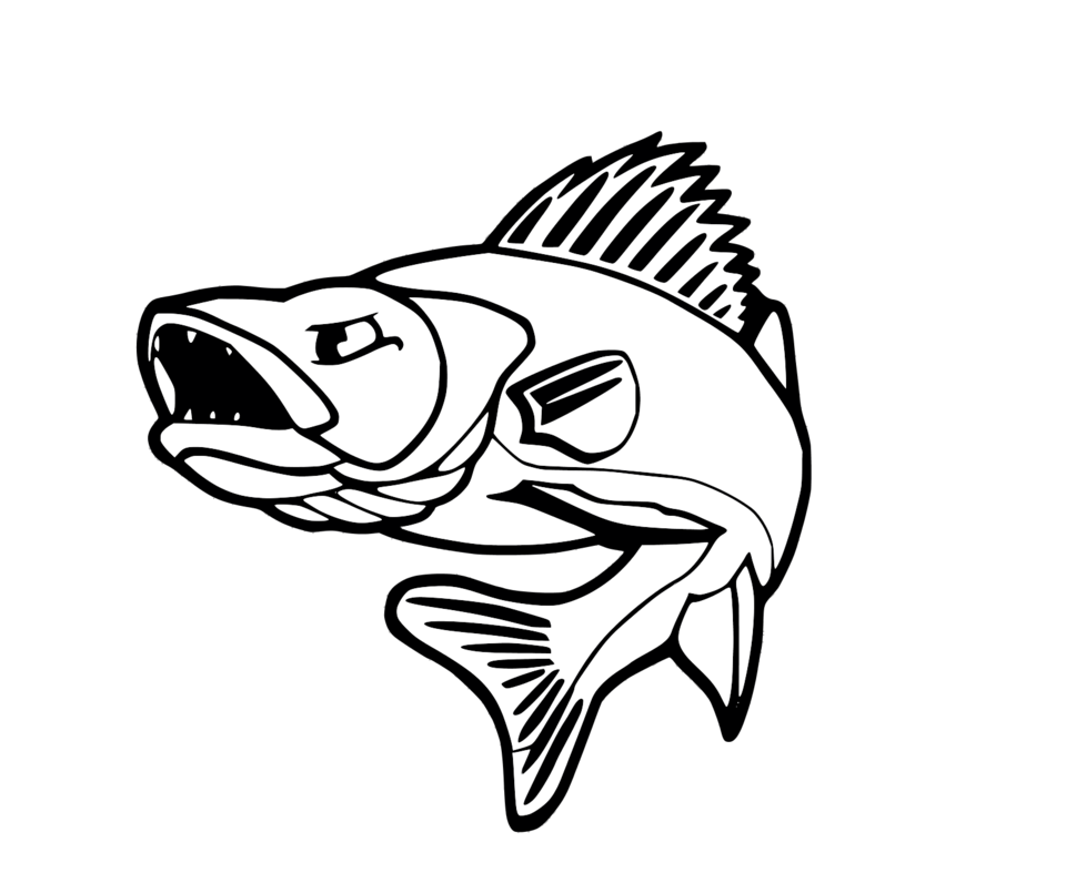 walleye coloring page