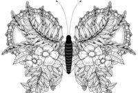 aesthetic butterfly coloring pages