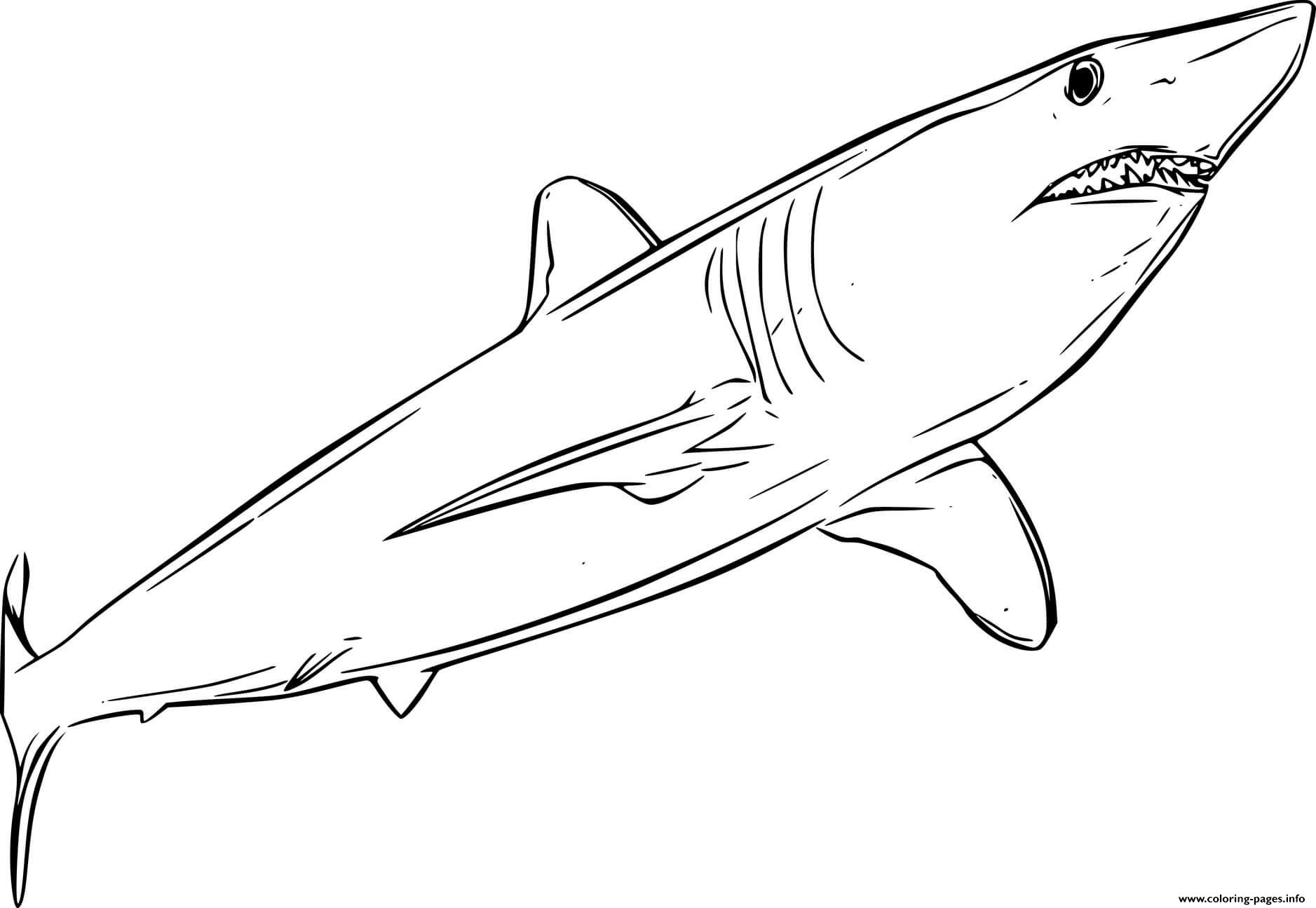 mako shark coloring page