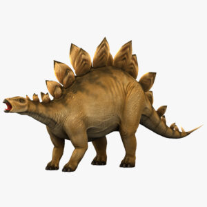 stegosaurus bilder