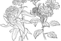 zinnia coloring page