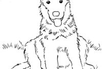 german shepard coloring page