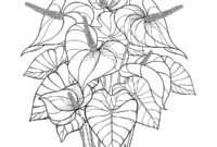 plants coloring page