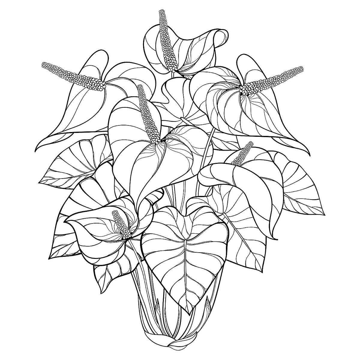 plants coloring page