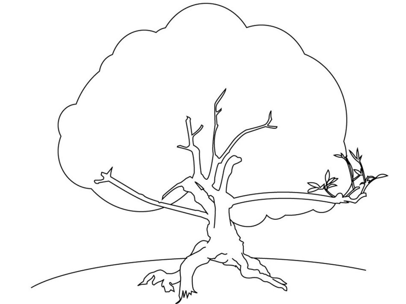 malvorlage baum