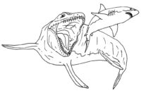 mosasaurus coloring page