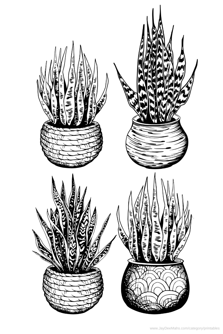 houseplant coloring pages