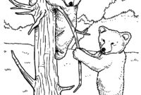 bear cub coloring page