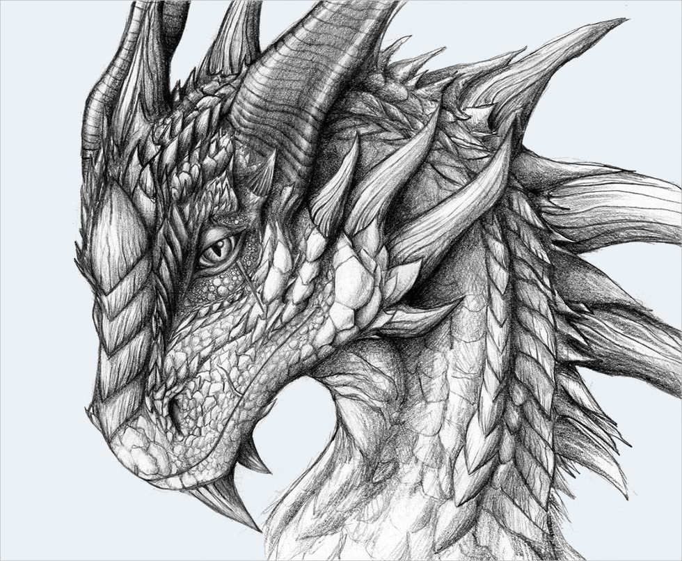 drachen skizzen