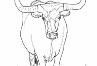 printable cow coloring pages for adults