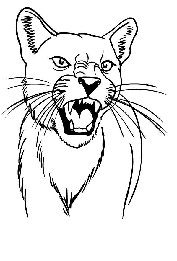 puma coloring page