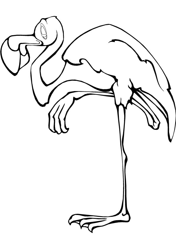 printable flamingo coloring pages