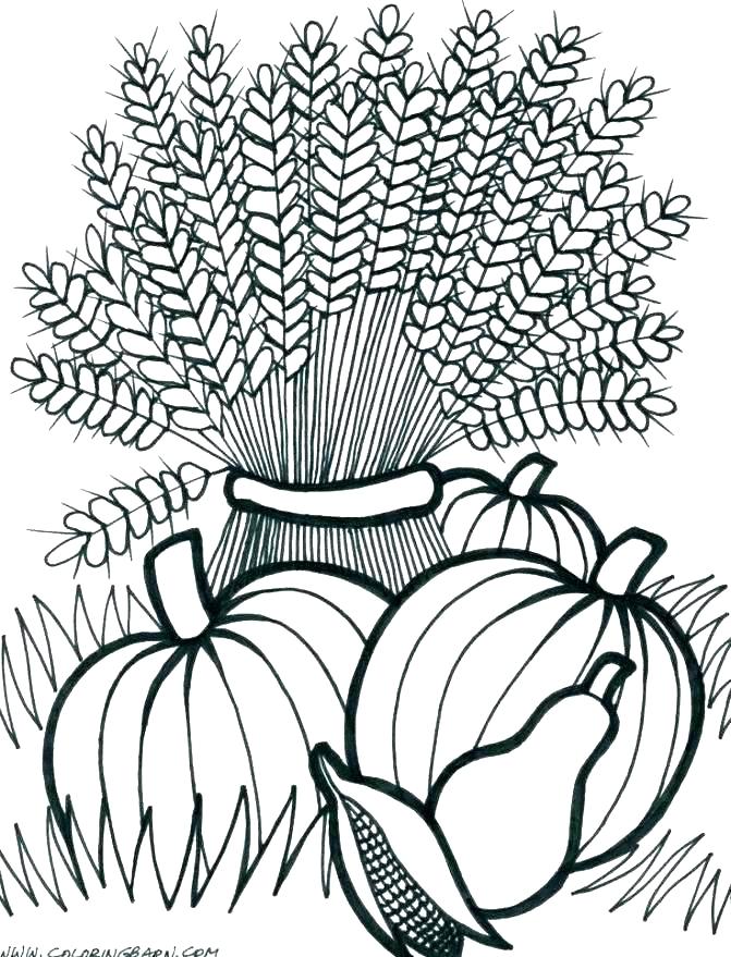 Free Printable Fall Harvest Coloring Pages at GetColorings.com | Free