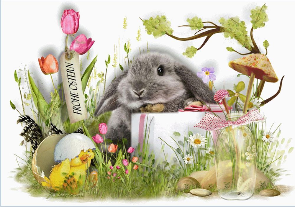 Frohe Ostern wünsche ich allen von ganzem Herzen Foto & Bild | ostern