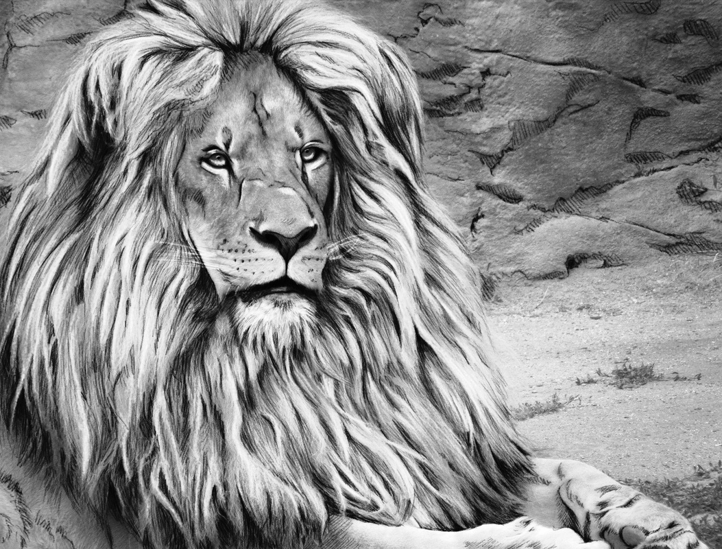 Grayscale coloring, Download Grayscale coloring for free 2019