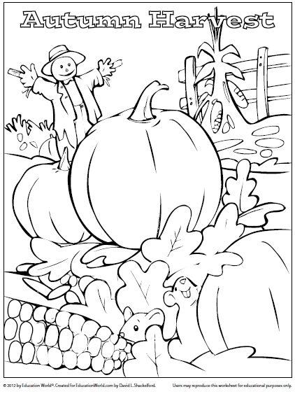 Download Harvest coloring for free - Designlooter 2020 👨‍🎨