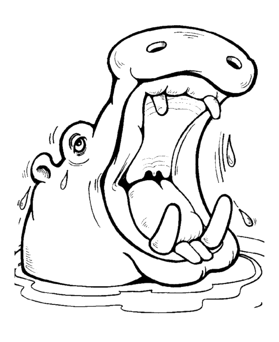 coloring page of a hippo