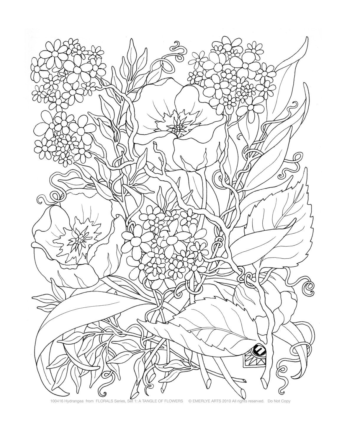 hollywood coloring pages