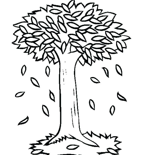 preschool leaf coloring pages