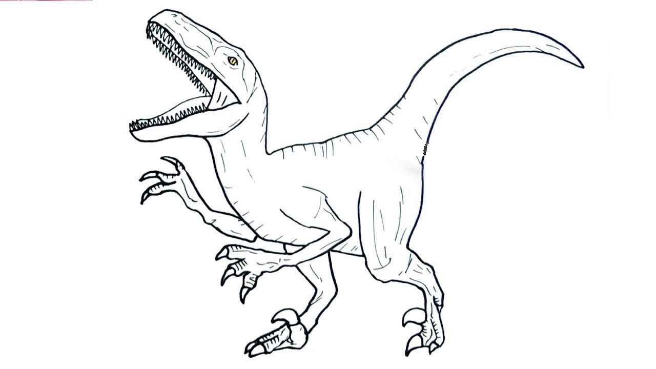 Jurassic World Velociraptor Coloring Pages Raptor Coloring Pages | Porn