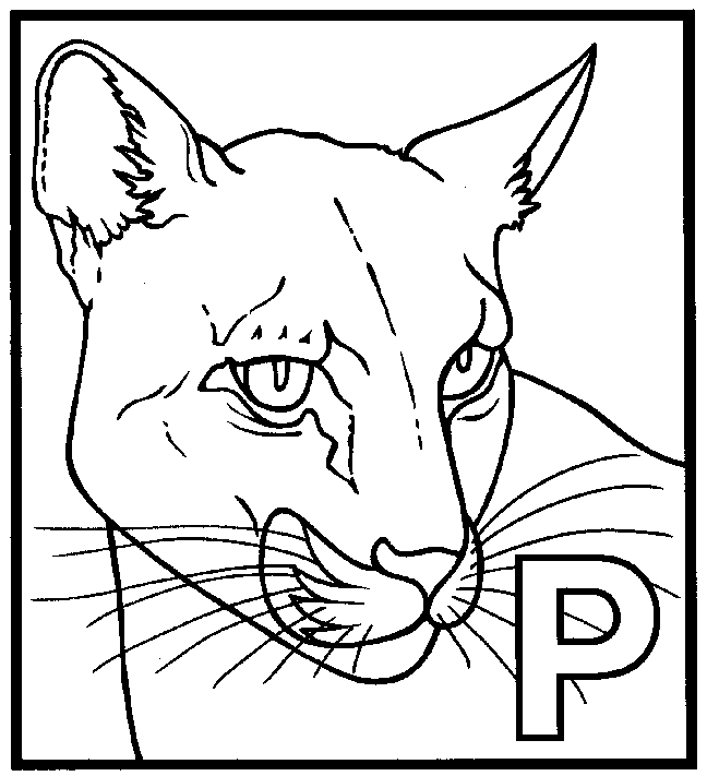 realistic black panther coloring pages