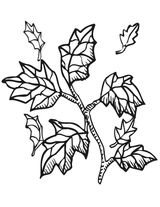 free fall leaves coloring pages